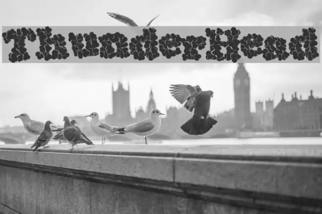 ThunderHead Font examples
