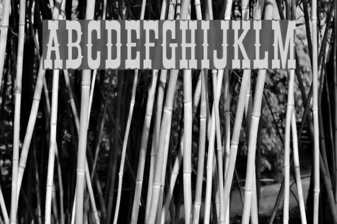 Thunderbird Font examples