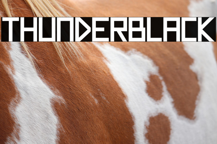 Thunderblack Example 2