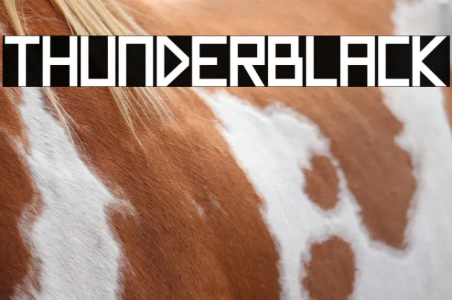 Thunderblack Example 2