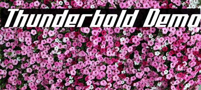 Thunderbold Demo Fuentes examples