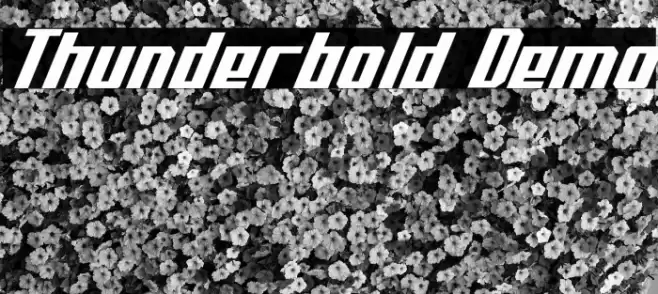 Thunderbold Demo Шрифта examples