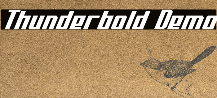 Thunderbold Demo Fuentes examples