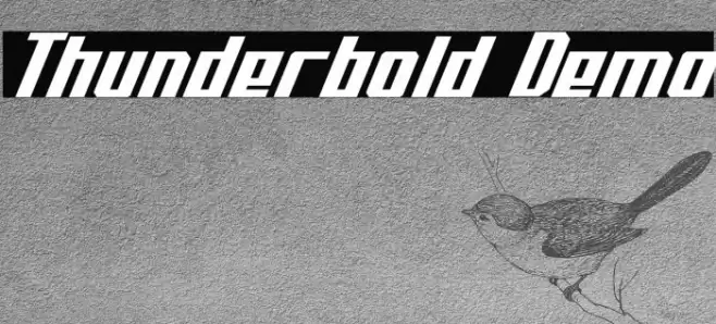 Thunderbold Demo Шрифта examples