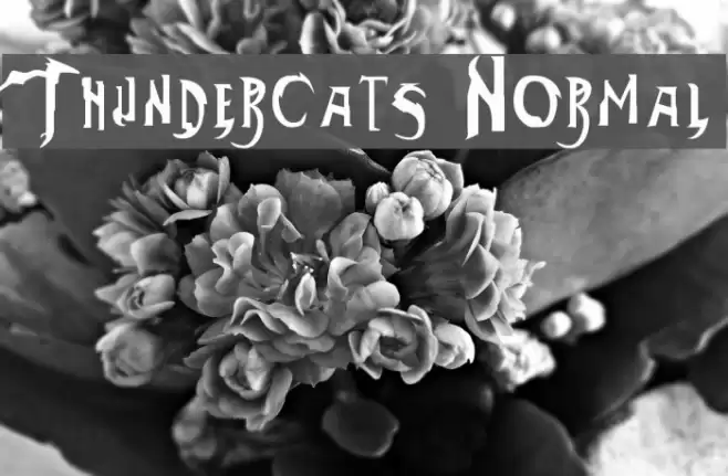Thundercats Normal Schriftart examples