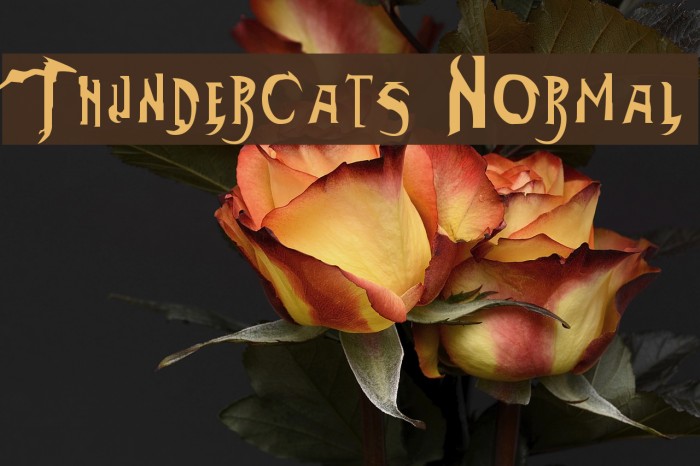 Thundercats Normal Font examples