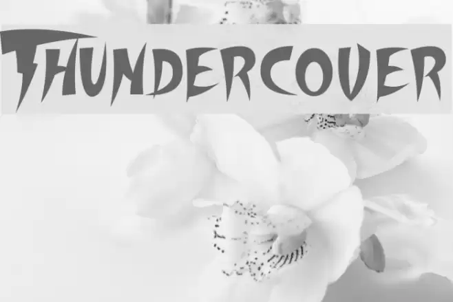 Thundercover Font examples