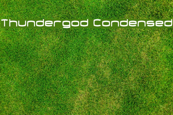 Thundergod Condensed Font examples
