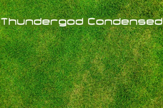 Thundergod Condensed Example 3