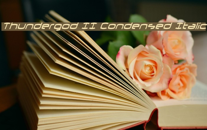 Thundergod II Condensed Italic Example 1