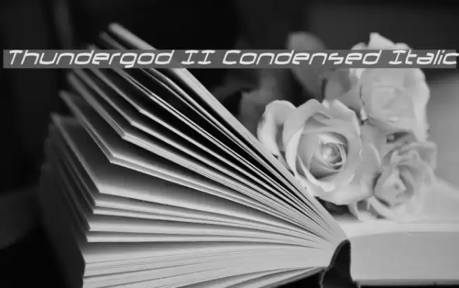 Thundergod II Condensed Italic Font examples