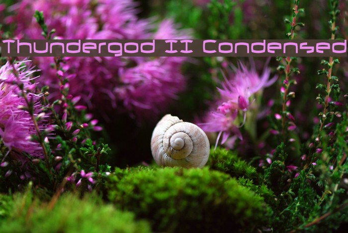 Thundergod II Condensed Example 1