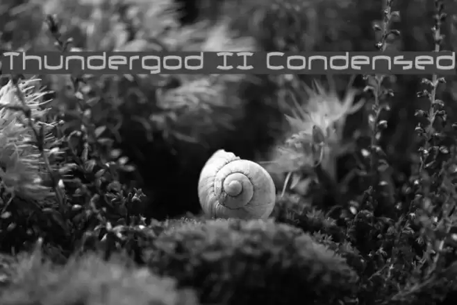 Thundergod II Condensed Font examples