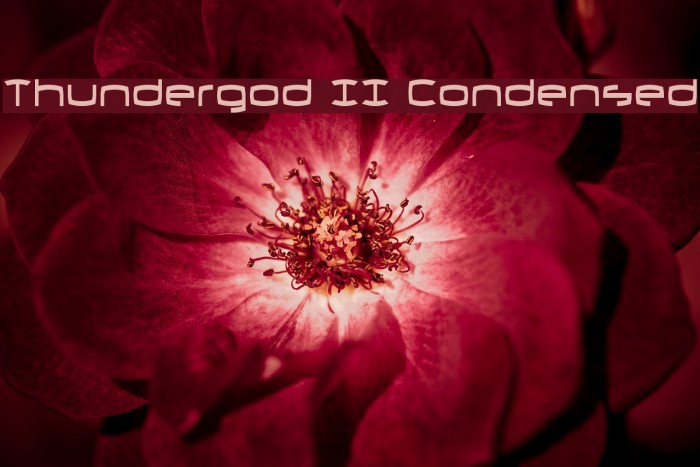 Thundergod II Condensed Example 2