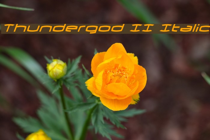Thundergod II Italic Font examples