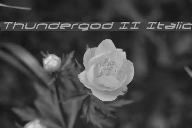 Thundergod II Italic Fonte examples