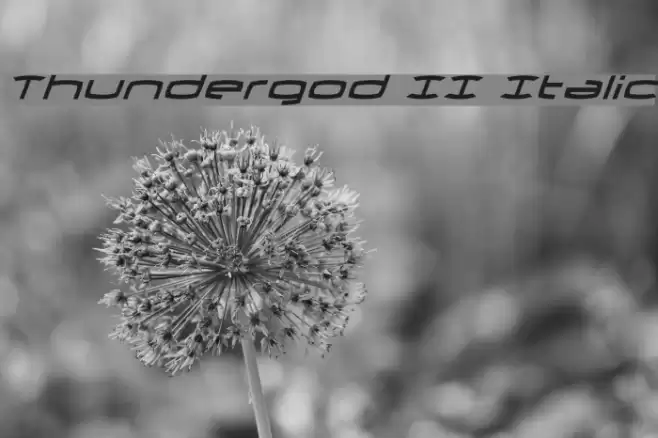 Thundergod II Italic Fonte examples