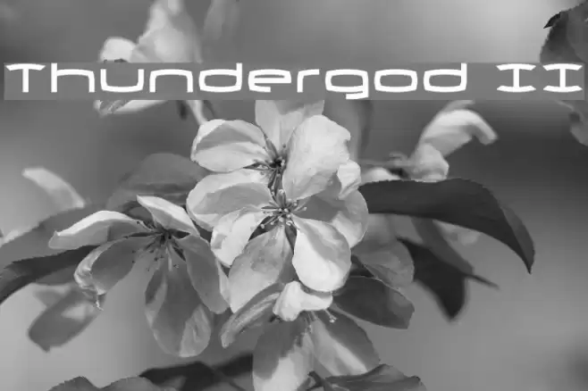 Thundergod II Font examples