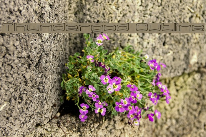 Thundergod Outline Example 3