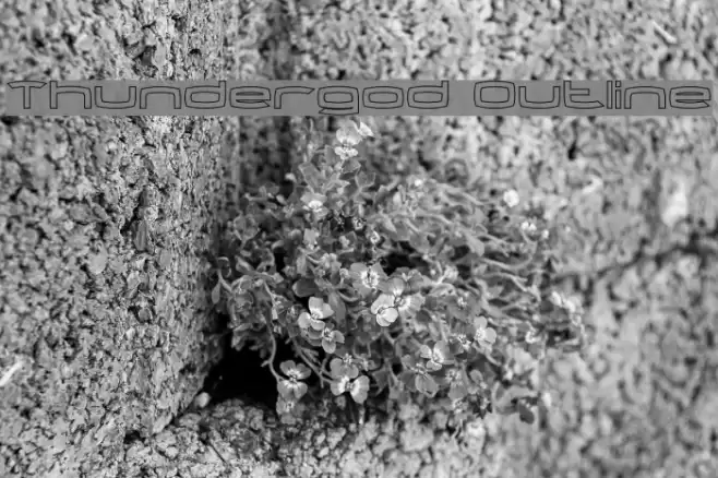 Thundergod Outline Font examples