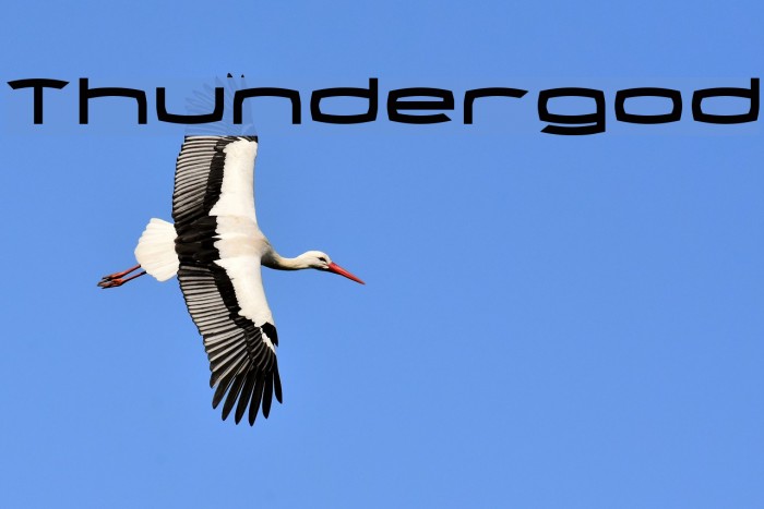 Thundergod Example 1