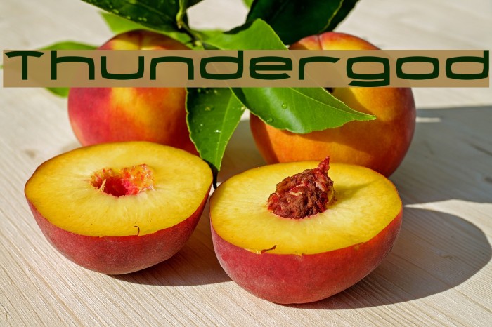 Thundergod Example 2