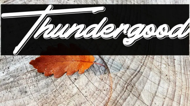 Thundergood Example 1
