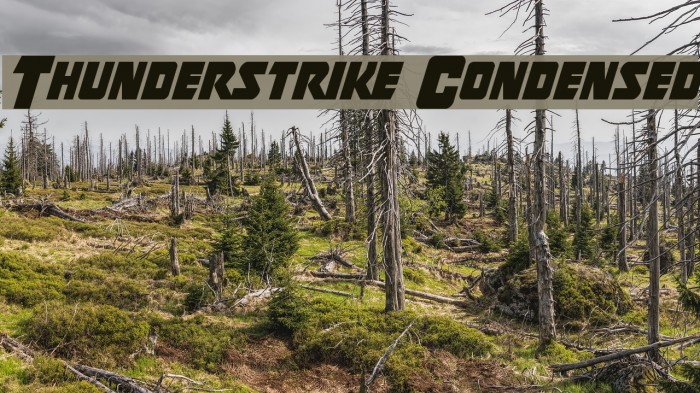 Thunderstrike Condensed Example 1
