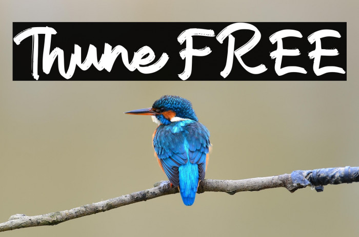 Thune FREE Example 1