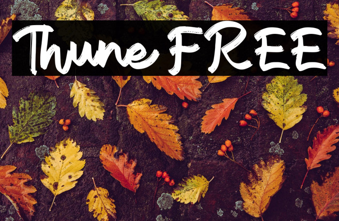 Thune FREE Example 2