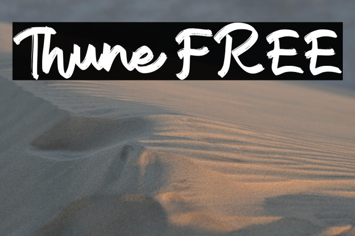 Thune FREE Example 3