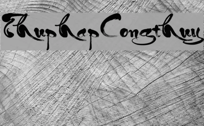 ThuphapCongthuy Font examples