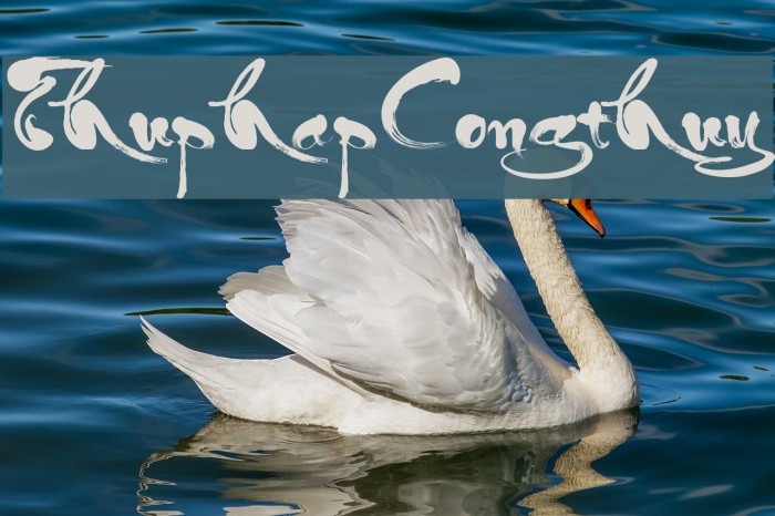 ThuphapCongthuy Example 3