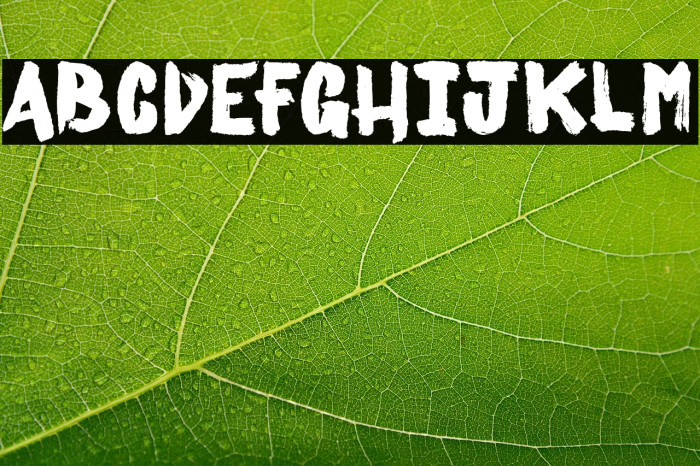  Thurdy Sicks_PersonalUseOnly Example 1