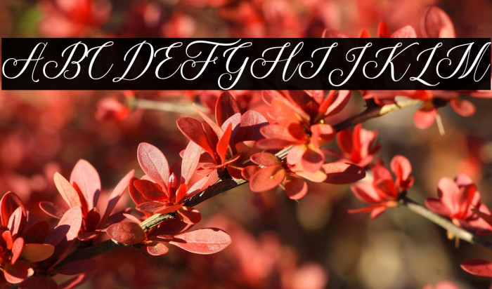 ThuressiaScript Example 1