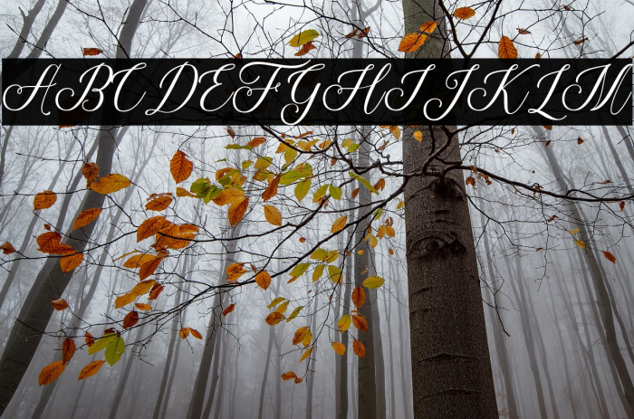 ThuressiaScript Example 3