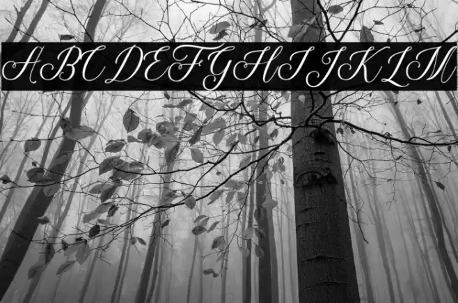 ThuressiaScript Font examples