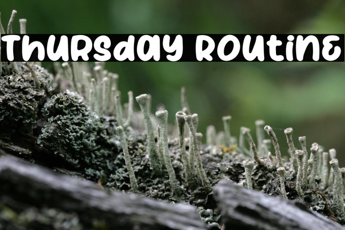 Thursday Routine Example 2