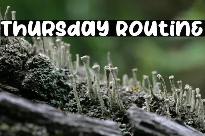 Thursday Routine Example 2