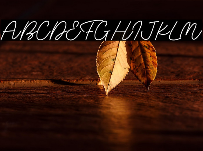 Thursday Script Example 1