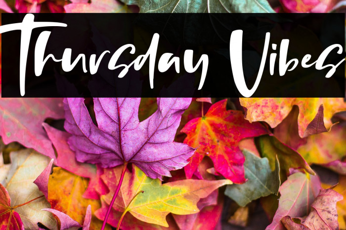 Thursday Vibes Example 3