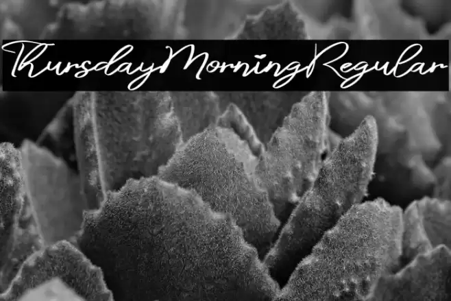 ThursdayMorningRegular Font examples