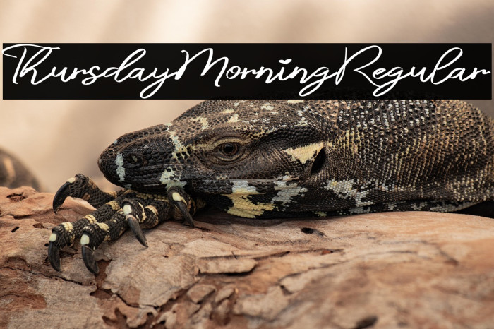 ThursdayMorningRegular Example 3