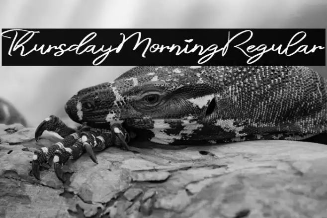 ThursdayMorningRegular Font examples
