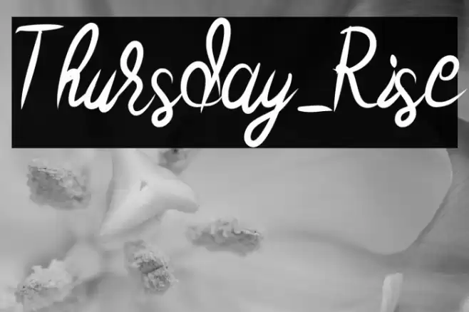 Thursday_Rise Font examples