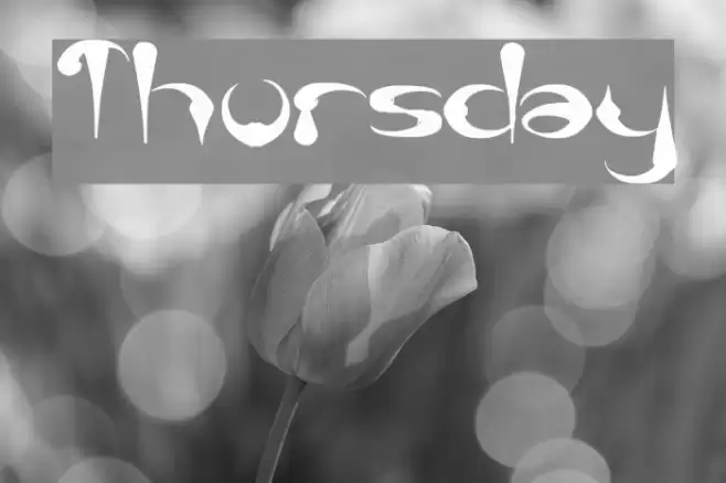 Thursday Font examples