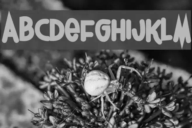 Thursdoo Font examples