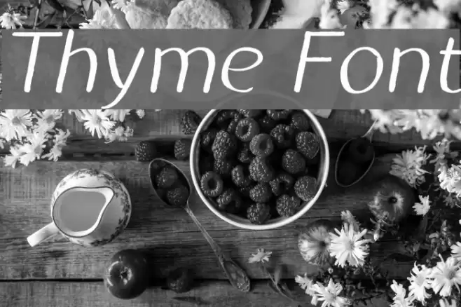 Thyme Font examples