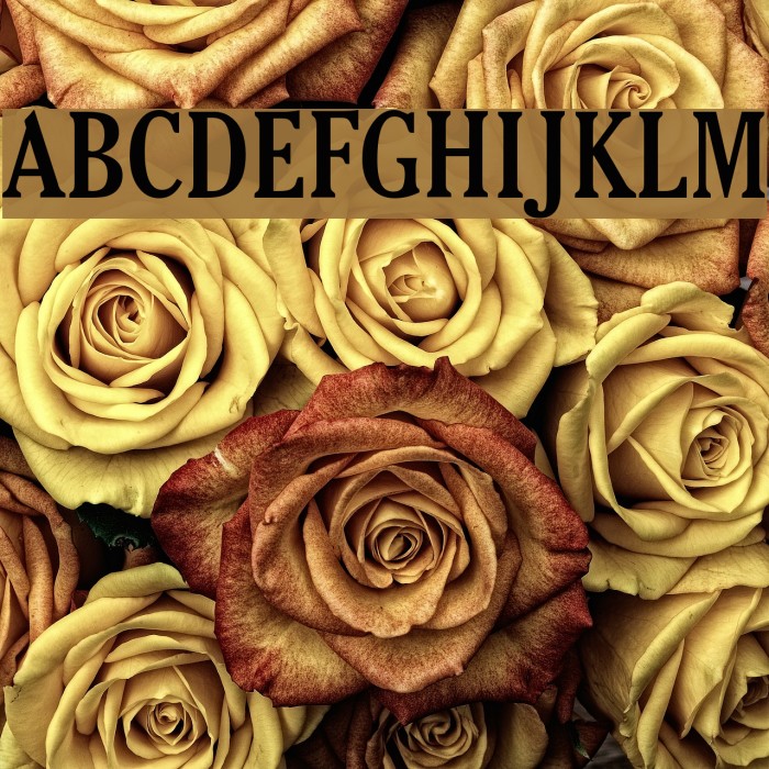 Thyssen J Font examples