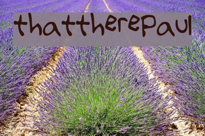 thattherePaul Font examples